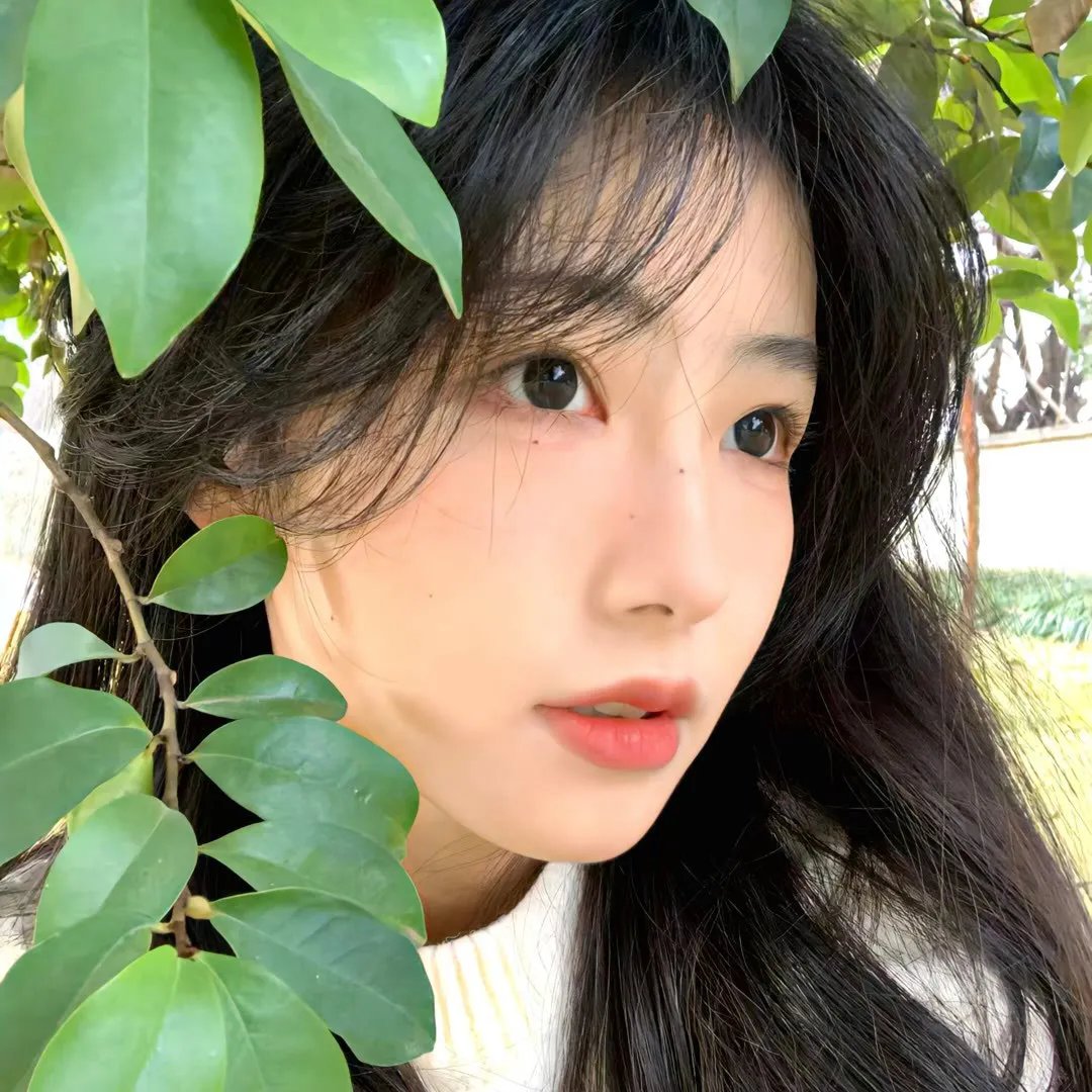 职业大贼